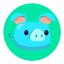 Pig
