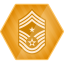 Colonel