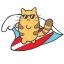 Surf Cat