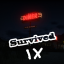 Survive 9 days!