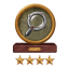 Expert  (Level 4)