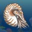 Nautilus angler