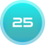 25 Points