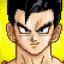 Gohan Maxed Out