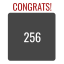 256 Tile