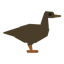 Poop on a Brown Duck