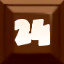 Level 24