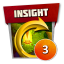 Insight