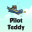 Pilot Teddy