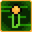 Compressed