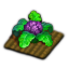 Rich Harvest