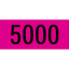 Score - 5000