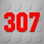 Level 307