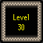 Level 30