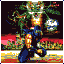 Ninja Gaiden II Master