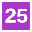 Level 25