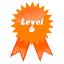 Level 6