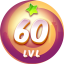 Level 60