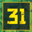 Level 31