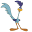 Road Runner