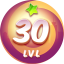 Level 30