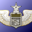 Senior Astronaut Badge