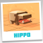 Hippo