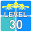 Level 30