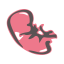 Baby Colony