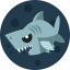 Shark
