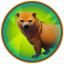 Bush Dog Discovery