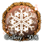Gallery　50％