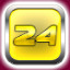Level 24