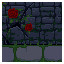 Rose Garden