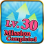 LV30 completed