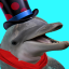 Meet the Dolphin
