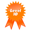 Level 10