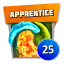 Apprentice