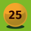 25