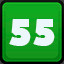 Level 55