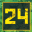 Level 24