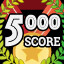 Score 5000