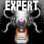 Expert Execution