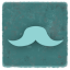 Hungarian moustache