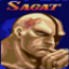 Sagat Perfect