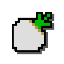 Turnip