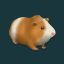 Guinea Pig