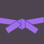 Purple Belt