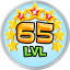Level 65