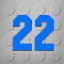 Level 22